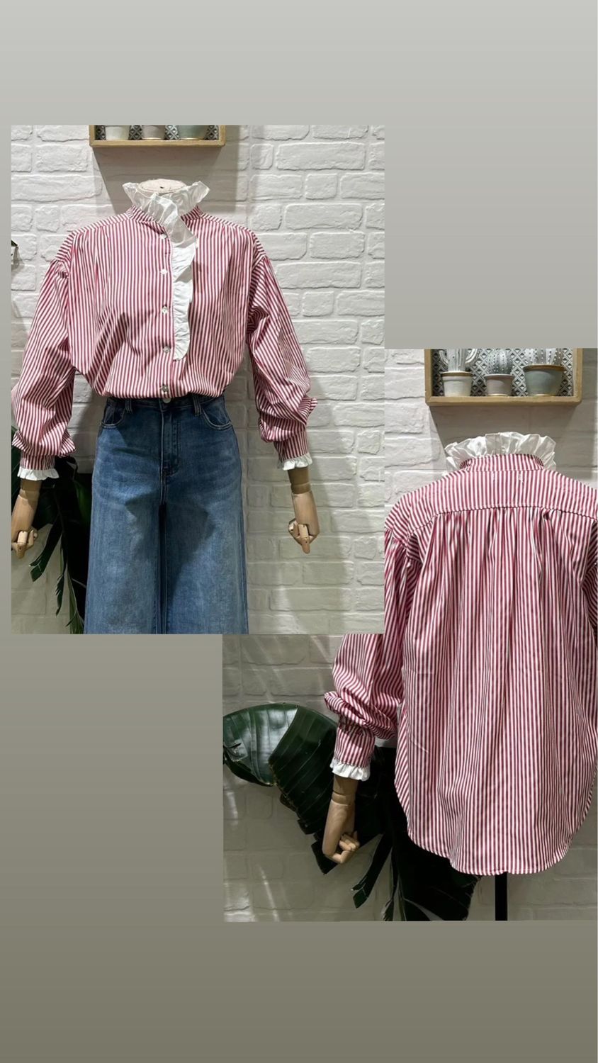 Camisa