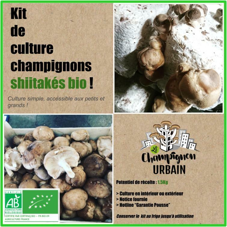 Kit de culture de shiitakés BIO