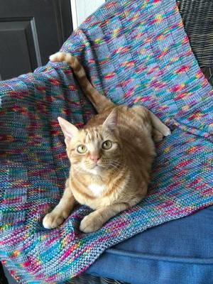 Teddy&#39;s Baby Blanket