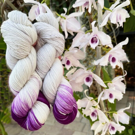 Keith&#39;s Orchid Blue Boy (*Will Work For Planned And Assigned Pooling)