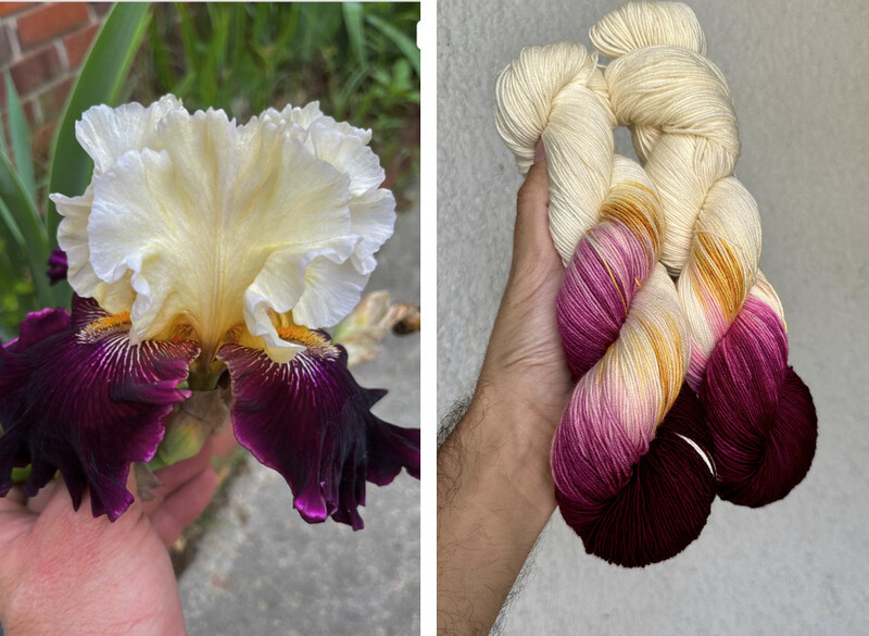 Irresistible Bearded Iris (*Will Work For Planned And Assigned Pooling)