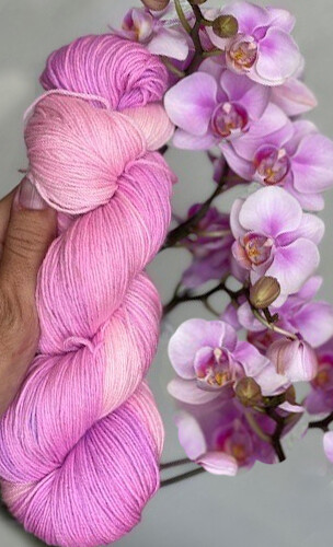 Keith's Orchid 521 - Princess Phal