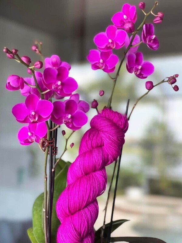 Keith's Orchid Mom 522