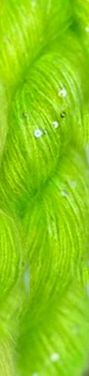 Silky Mohair Sequins - Highlighter Green