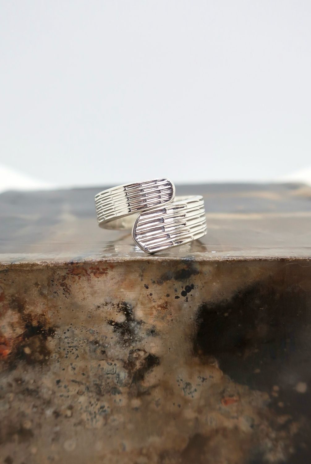 Polar ring