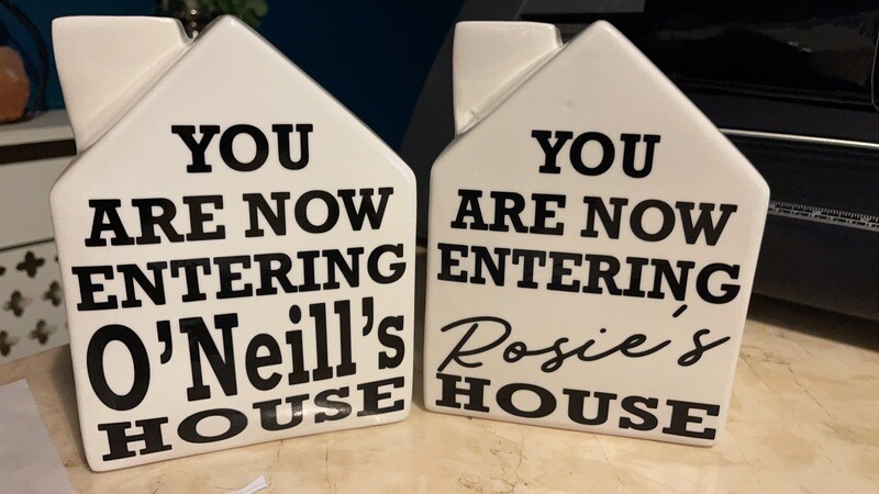 Novelty house