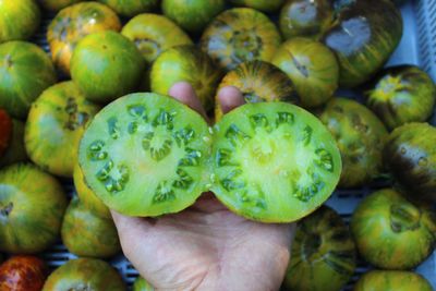 Xanadu Green Goddess