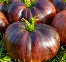 Marshas Starfighter Beafsteak