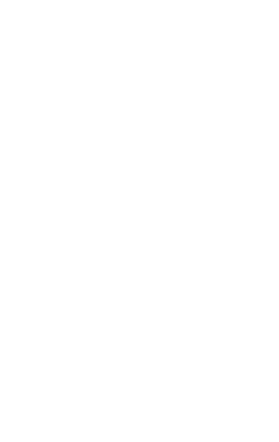 Skull 2