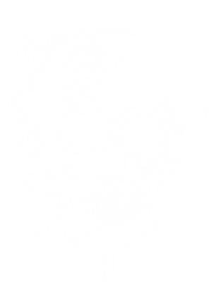 Skull 1