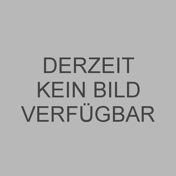 Scheuerbürste Waschbeton 43 cm Scheuerbürste Waschbeton 43 cm