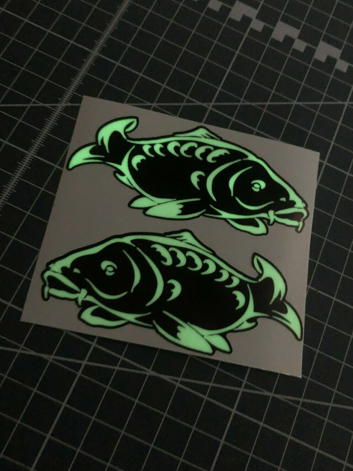 Glow Carp