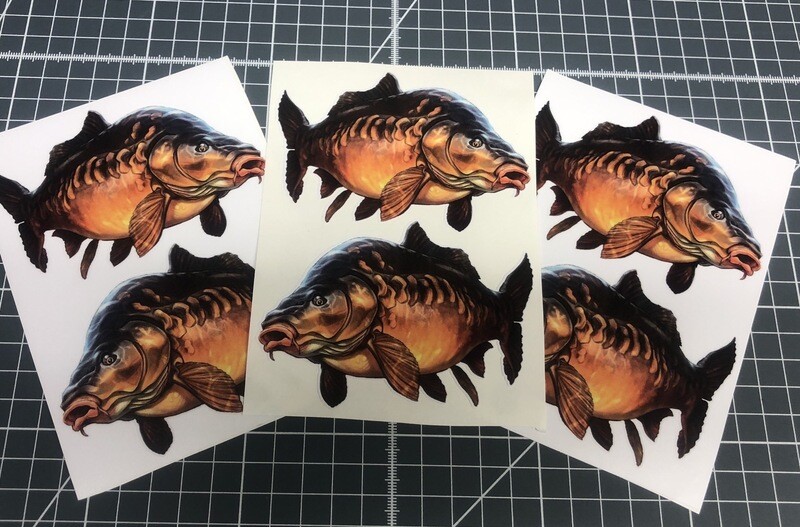 Mirror Carp Full Colour Sticker