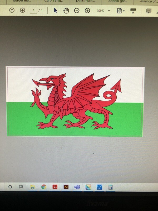 Welsh Fluro