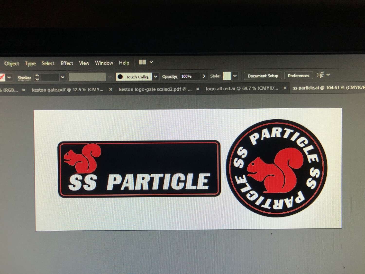 Ss particle