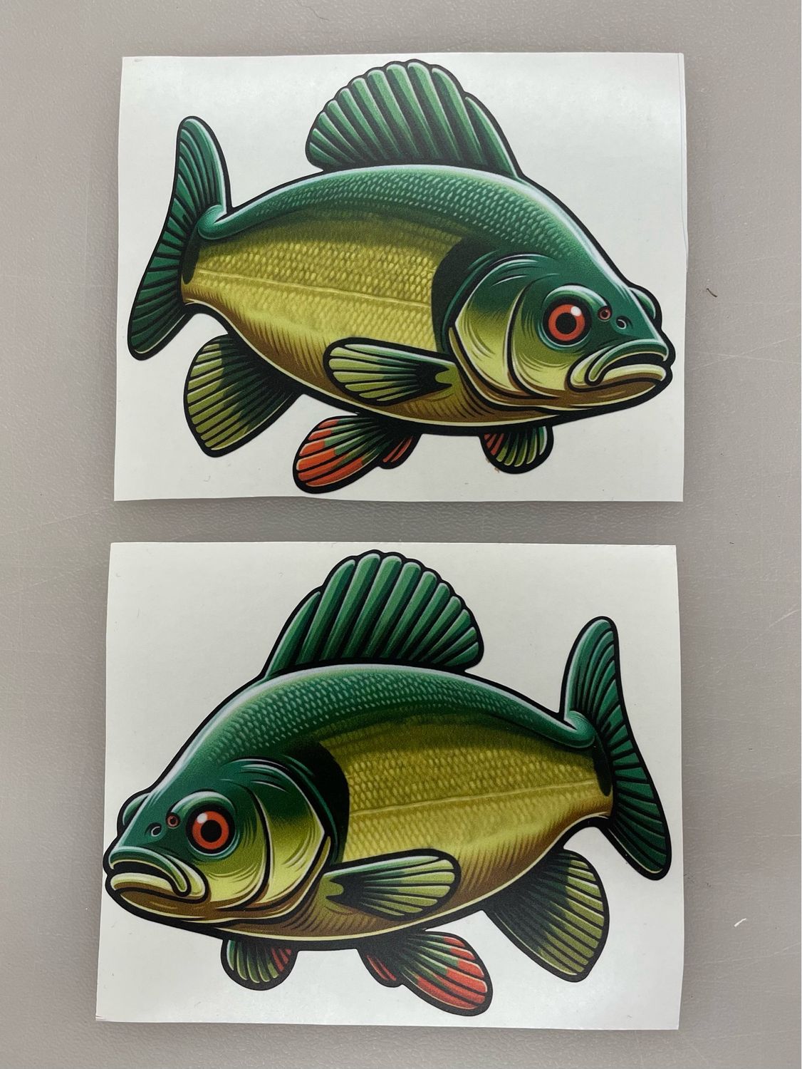 Tench Sticker 001