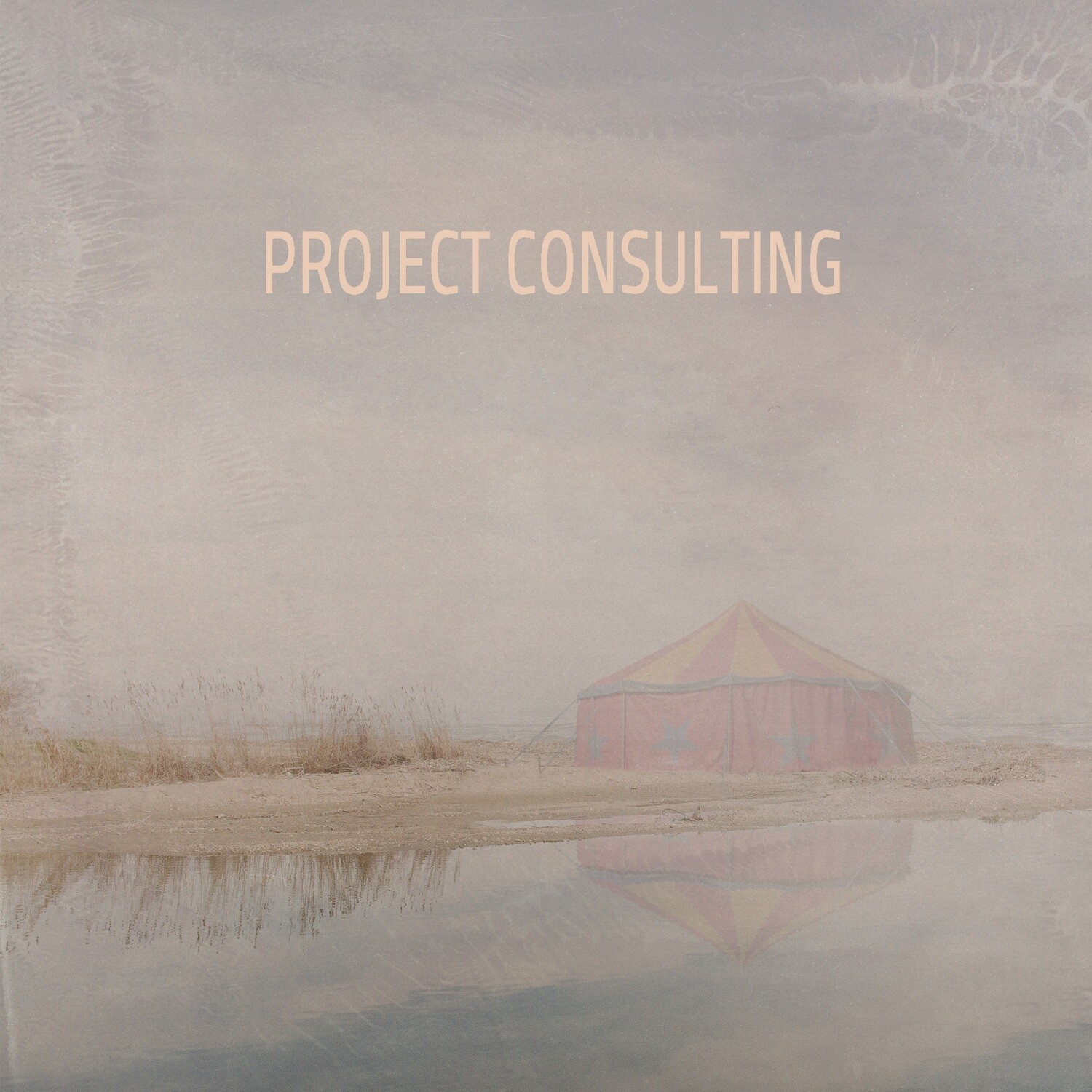 CONSULENZA PROGETTO CONSULENZA PROGETTO