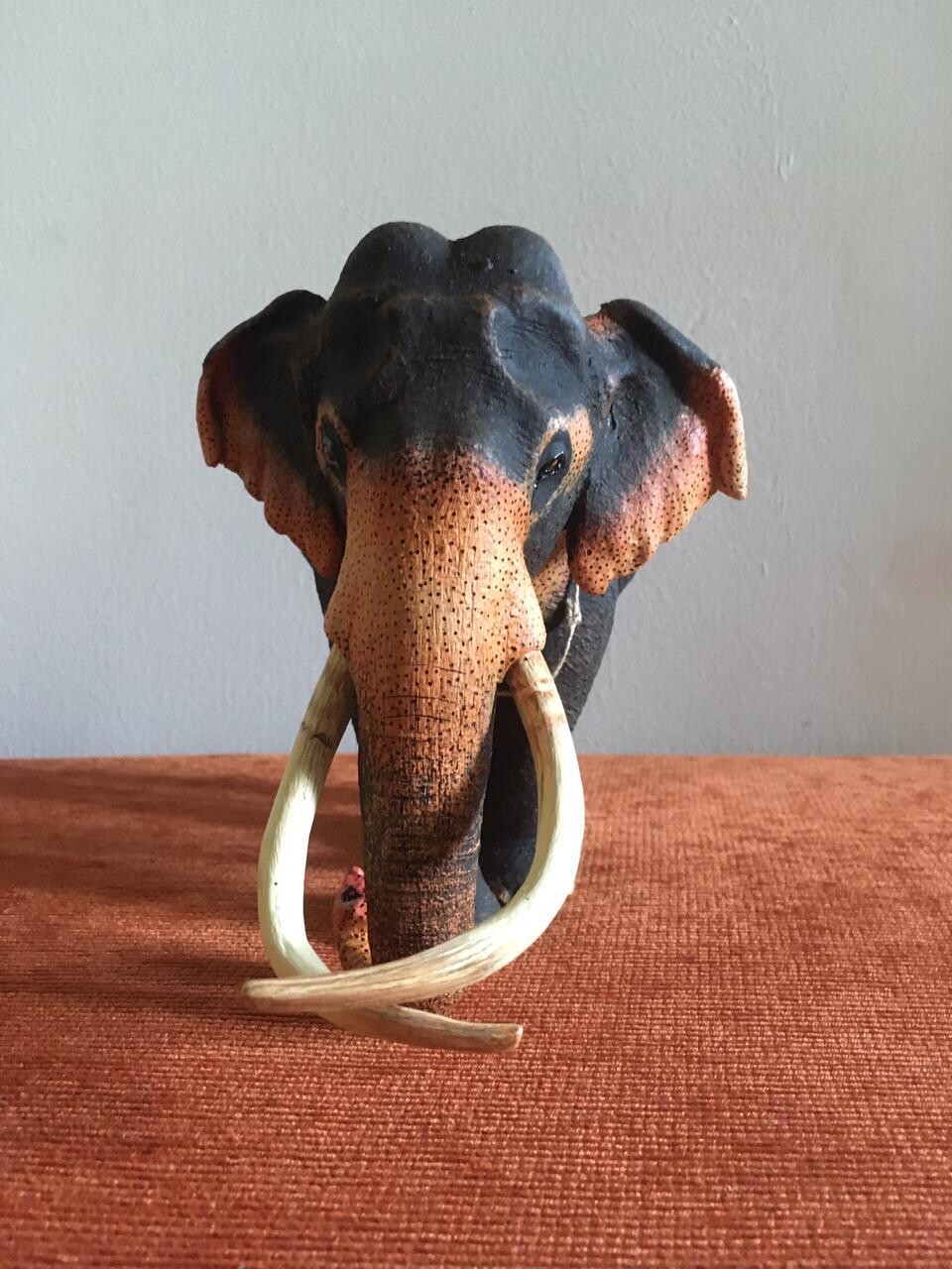Sri Lanka Tusker