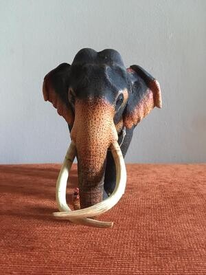 Sri Lanka Tusker