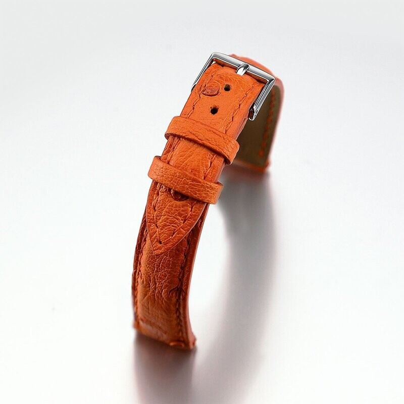 Bracelet montre Autruche femme