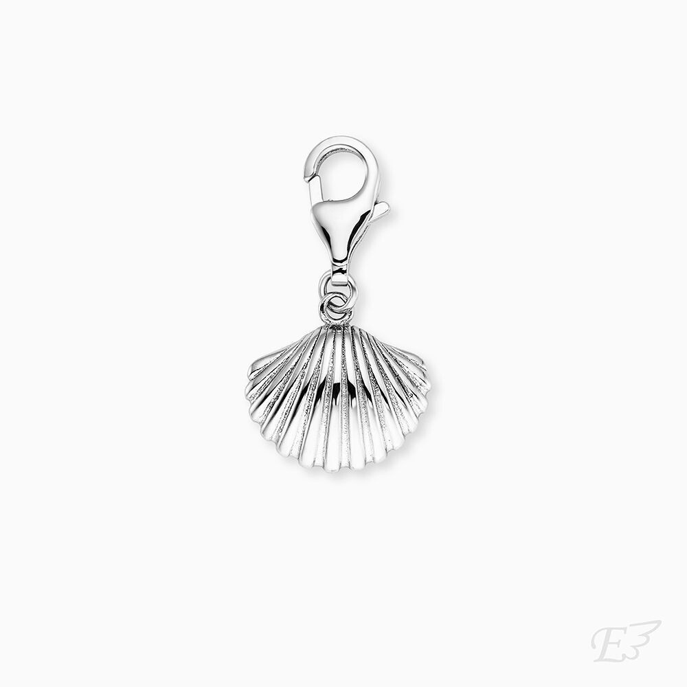 Engelsrufer - Charme coquillage