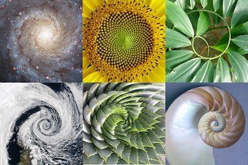 About Healing Mat Systems