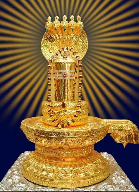 Rudrabhishekam on Devotee Chosen Day