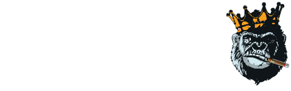 STRAIGHT LACED LLC