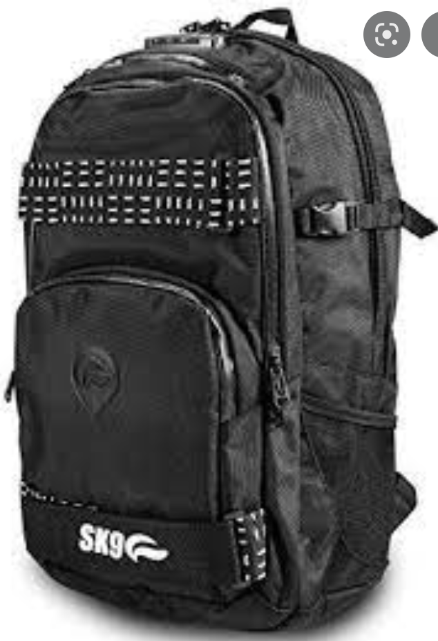 Skunk Skaters Backpack