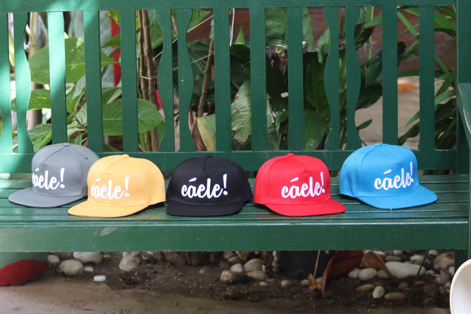 Cáele Snapback Bundle