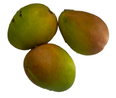 Certified Organic  Mangoes  4.50 EACH