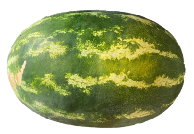 Certified Organic Watermelon