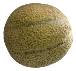 Certified Organic Rockmelons