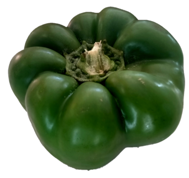 Certified Organic Green Capsicum $5 500grms