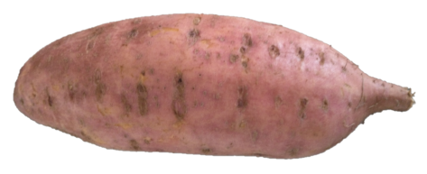 Certified Organic  Sweet Potato $2.20 500 grms