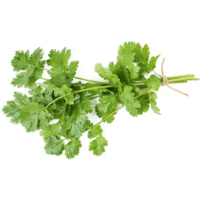 Certified Organic Coriander