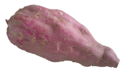 Certified Organic Purple Sweet Potato