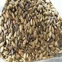 Certified Organic Saint Mary's Thistle