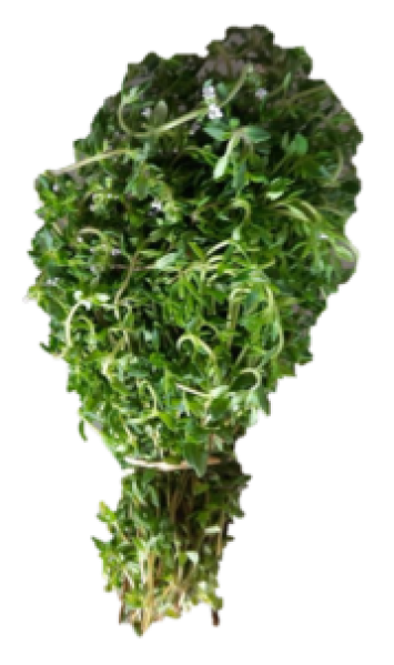Certified Organic Thyme