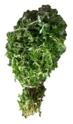 Certified Organic Thyme