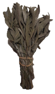 Certified Organic Sage Smudge Stick