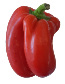 CO-RED CAPSICUM $4.50  250GRMS