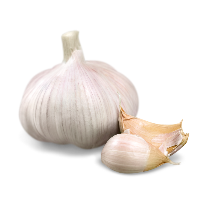 Certified Organic Garlic