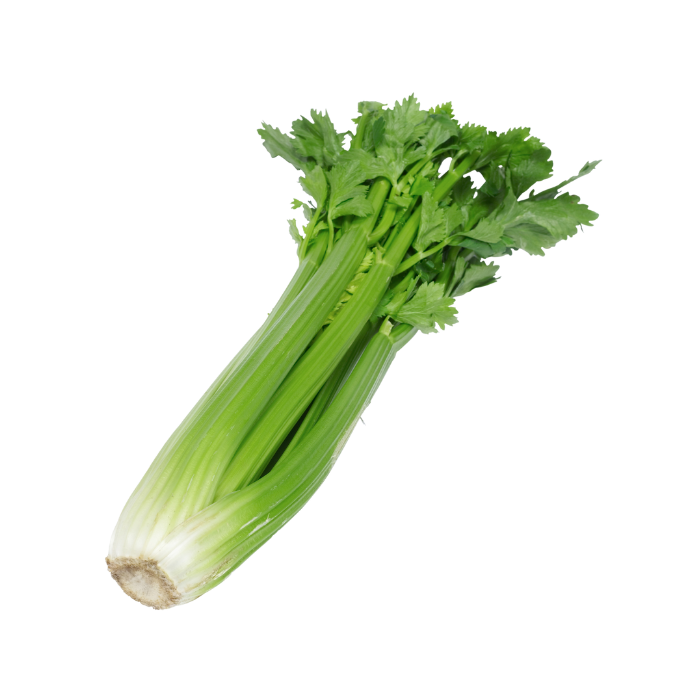 Certified Organic Celery