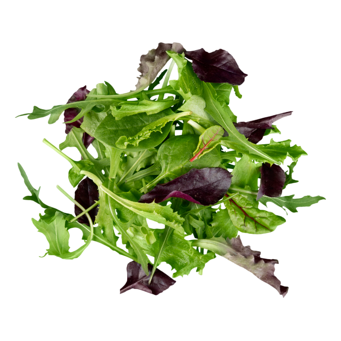 Certified Organic Baby Salad Mix