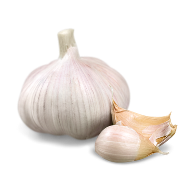 Certified Organic Garlic