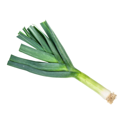 Certified Organic Leeks