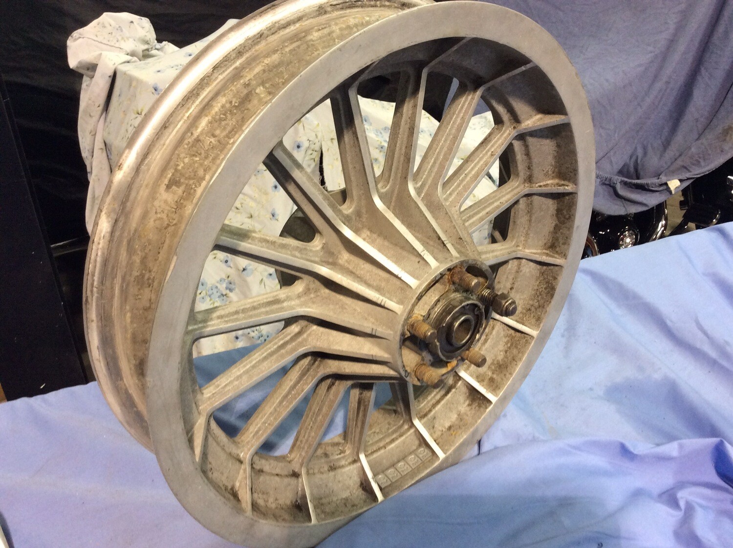 HARLEY OEM 16 SPOKE REAR WHEEL 16" X 3"