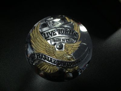Harley live to Ride Air breather cover insert 29328-99 Harley live to Ride Air breather cover insert 29328-99