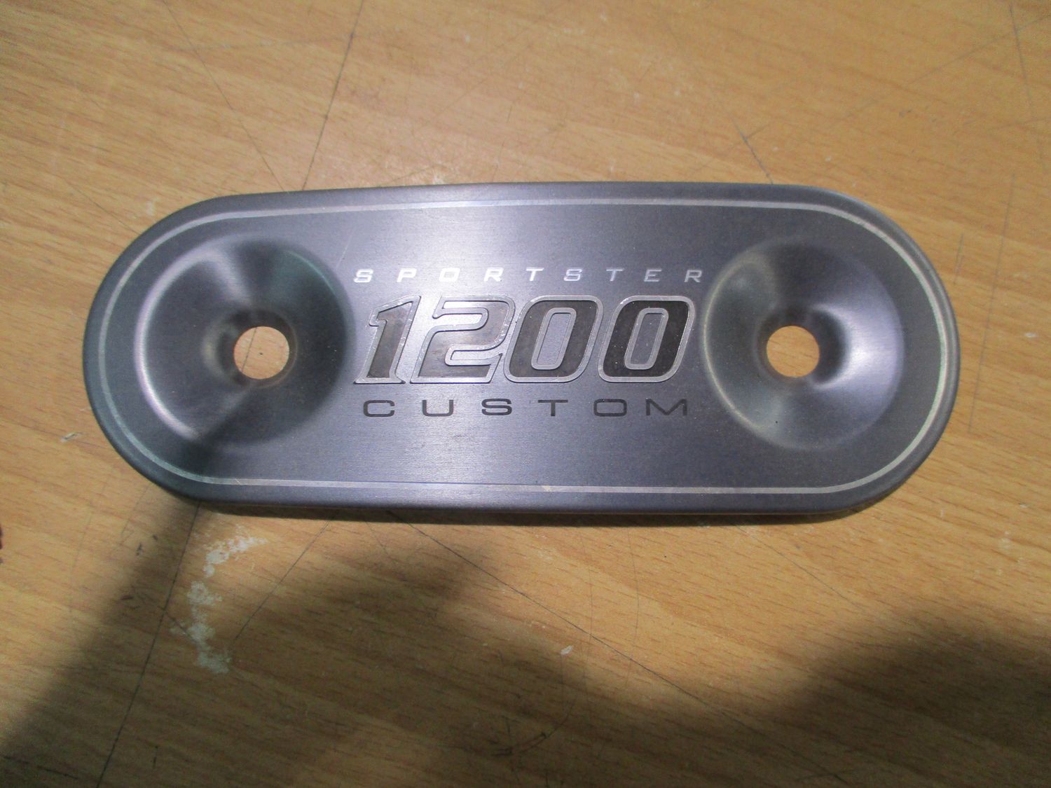 2004-2002 HARLEY-DAVIDSON SPORTSTER XL1200 AIR CLEANER INSERT